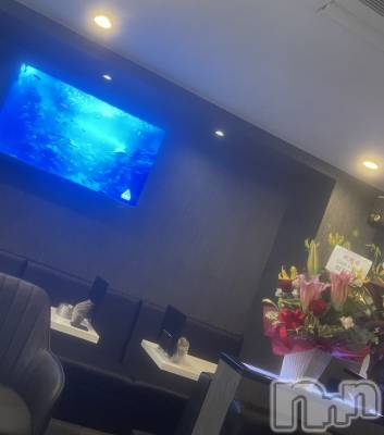 ʥå륺СLounge Anshu(饦󥸥󥷥) ʤ(26)418̥֥֥ץ쥪ץ󡪡