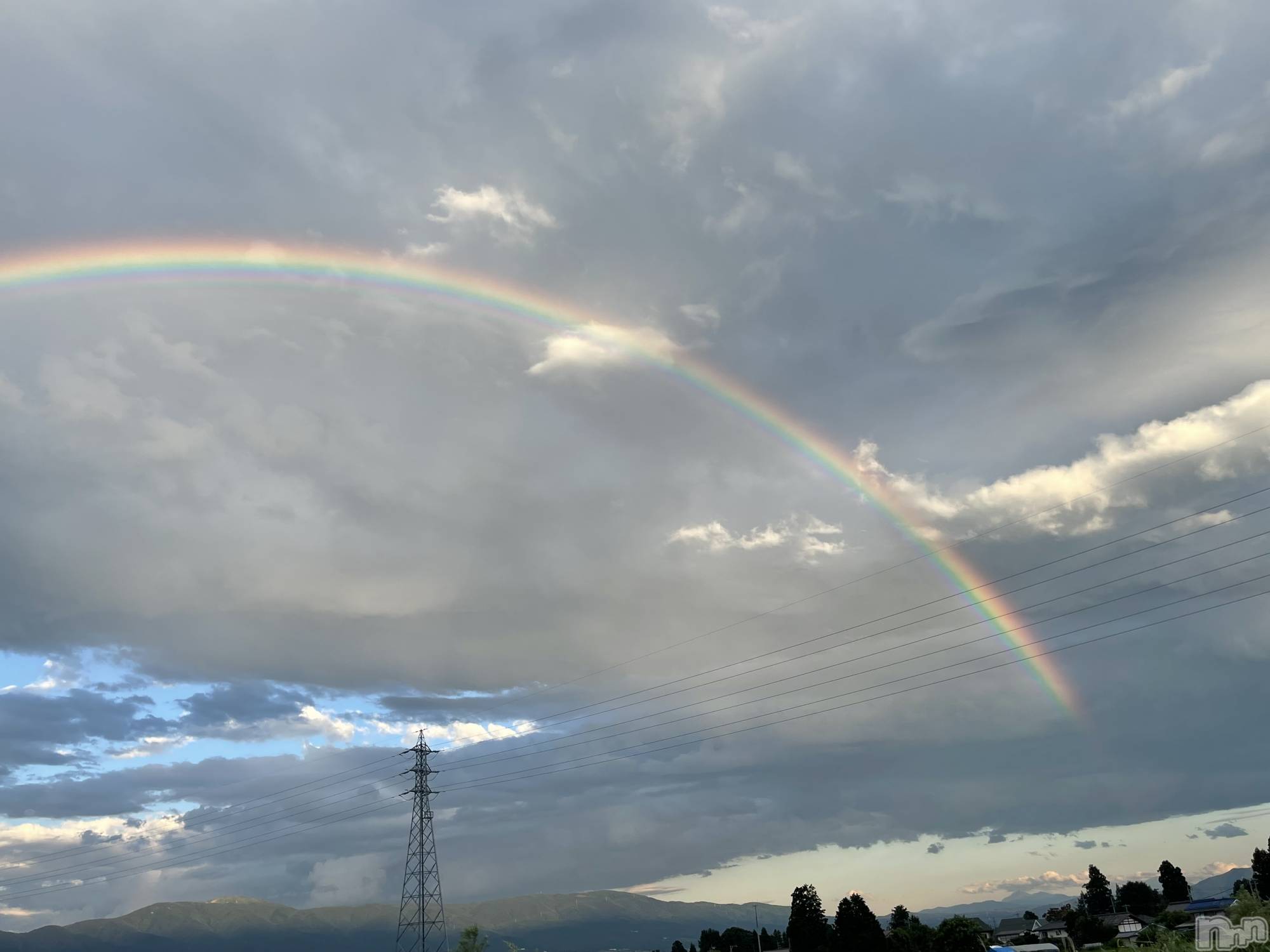 ܱХ顦֥ ץ ( ץ ޥĥ) 2024ǯ75̥֥🌈ᵕ̈*