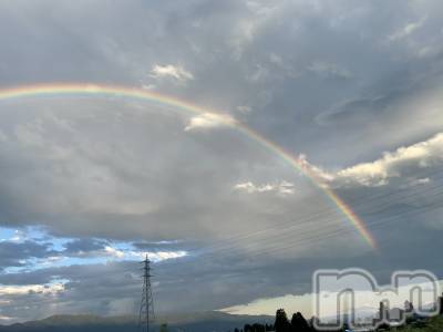 ܱХ顦֥ ץ ( ץ ޥĥ) (25)75̥֥🌈ᵕ̈*