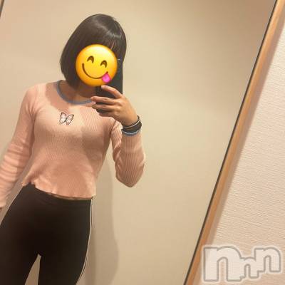 ܱХ顦֥ ץ ( ץ ޥĥ) (25)21̥֥21 2231ʬΥ֥