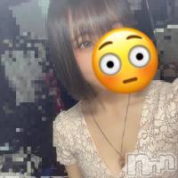 (26) Ĺ154cmܱХ顦  ץ ( ץ ޥĥ)ҡ