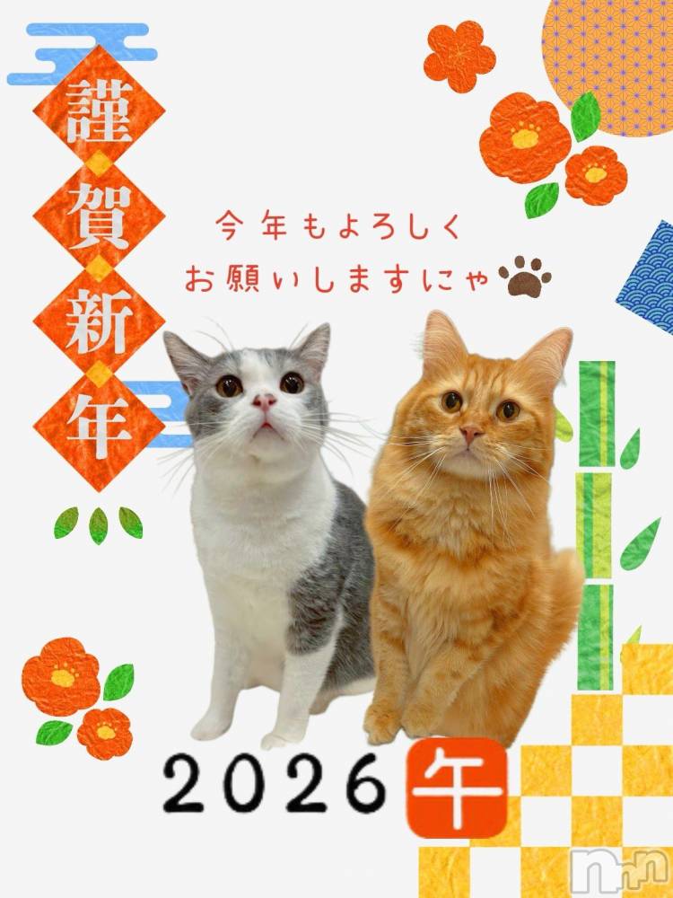 長野おっパブMILKYHEART(ミルキーハート) みゆの1月3日写メブログ「出勤！」