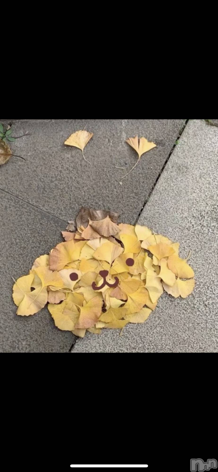ƲС㤭MILKYHEART(ߥ륭ϡ) 2024ǯ1010ֽ̥֥🐿🌰🍁🍂
