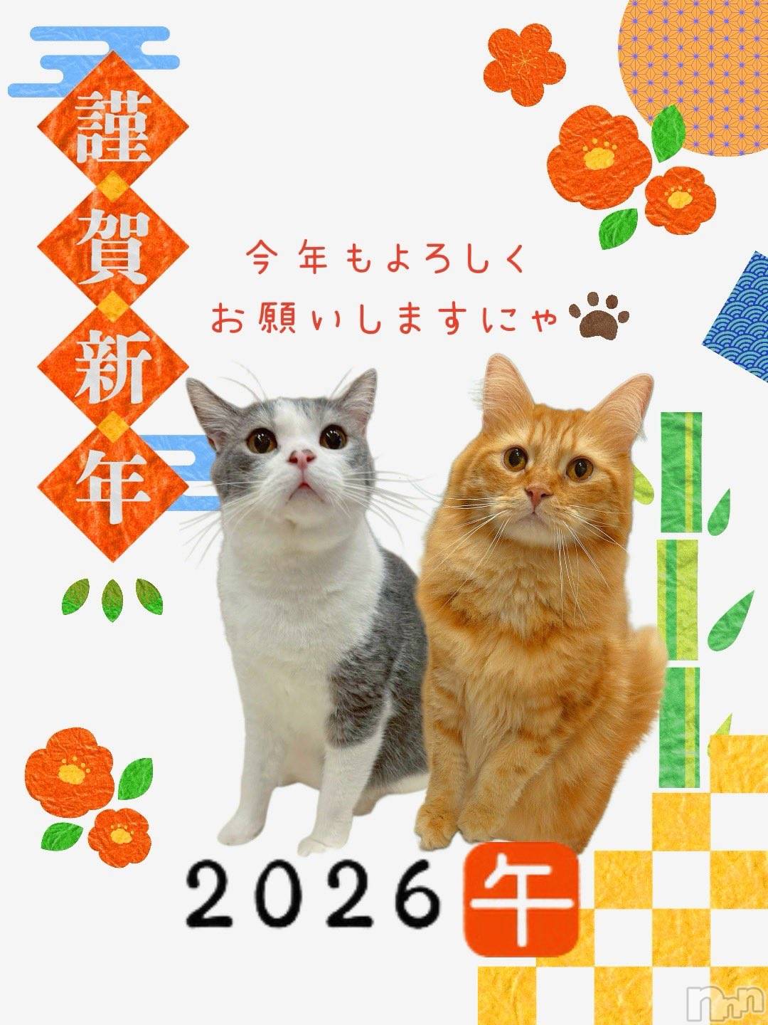 長野おっパブMILKYHEART(ミルキーハート)みゆの2026年1月3日写メブログ「出勤！」