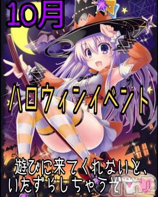 ƲС㤭MILKYHEART(ߥ륭ϡ) ߤ104̥֥10Υ٥🎃͙