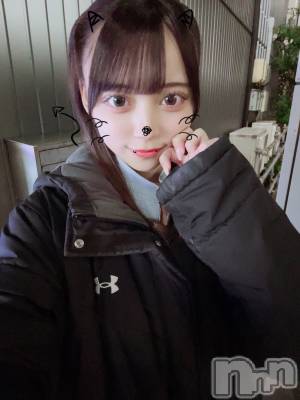 ʥå륺СGirls Bar Philia(륺Сեꥢ) ʤΤ117̥֥117 2303ʬΥ֥