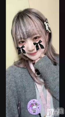 ˤ🐈‍⬛