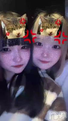 㵴쥢Ѥ