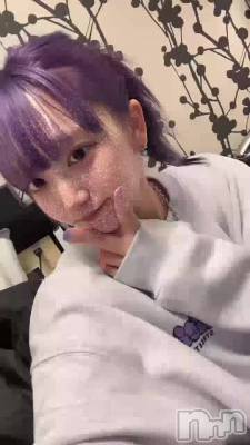 ݥˡơȥ奷