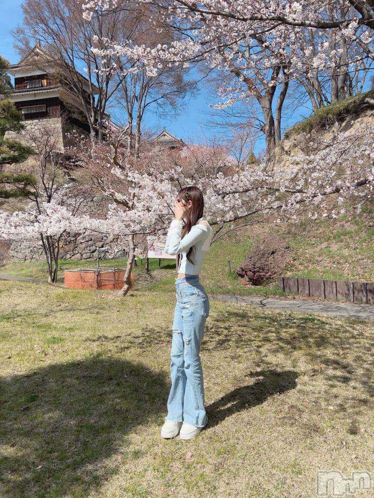 ��Ʋ���ʥå��������륺�С�LOUNGE ICHI ������(�饦�󥸥���) ����� ���4��6���̥�֥�����🌸��