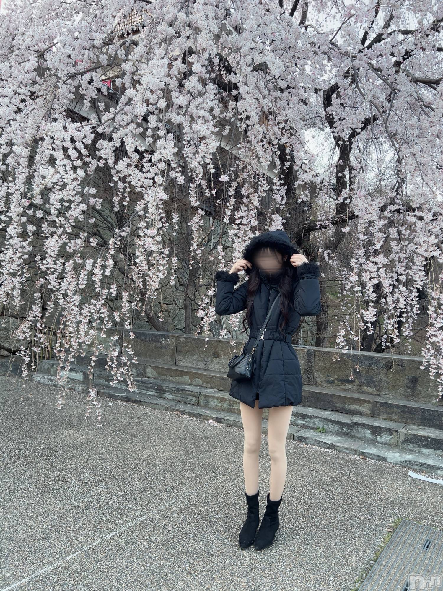 Ʋʥå륺СLOUNGE ICHI (饦󥸥) 2025ǯ414̥֥🌸