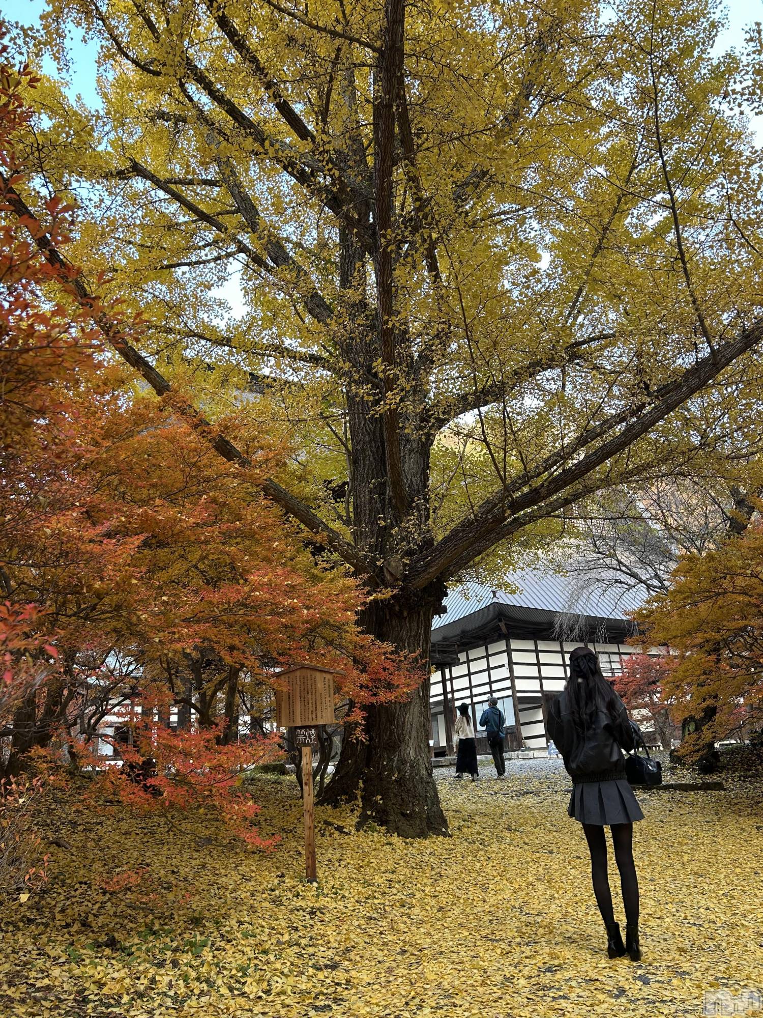 Ʋʥå륺СLOUNGE ICHI (饦󥸥) 2025ǯ1117̥֥🍁