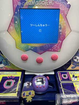 Ʋʥå륺СLOUNGE ICHI (饦󥸥)  1020̥֥🥚