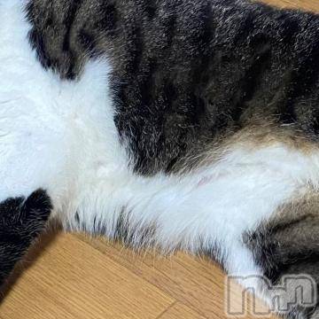 新潟デリヘル新潟デリヘル倶楽部(ニイガタデリヘルクラブ) かな(21)の9月18日写メブログ「[お題]from:答えは明日♪さん」