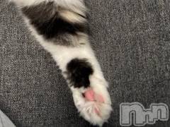 新潟デリヘル新潟デリヘル倶楽部(ニイガタデリヘルクラブ) かな(21)の4月3日写メブログ「嘘つき」