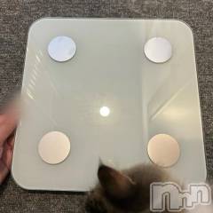 新潟デリヘル新潟デリヘル倶楽部(ニイガタデリヘルクラブ) かな(21)の9月19日写メブログ「💩」