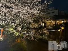 新潟デリヘル新潟デリヘル倶楽部(ニイガタデリヘルクラブ) かな(21)の4月4日写メブログ「桜の季節🌸スタート枠空きました◎」