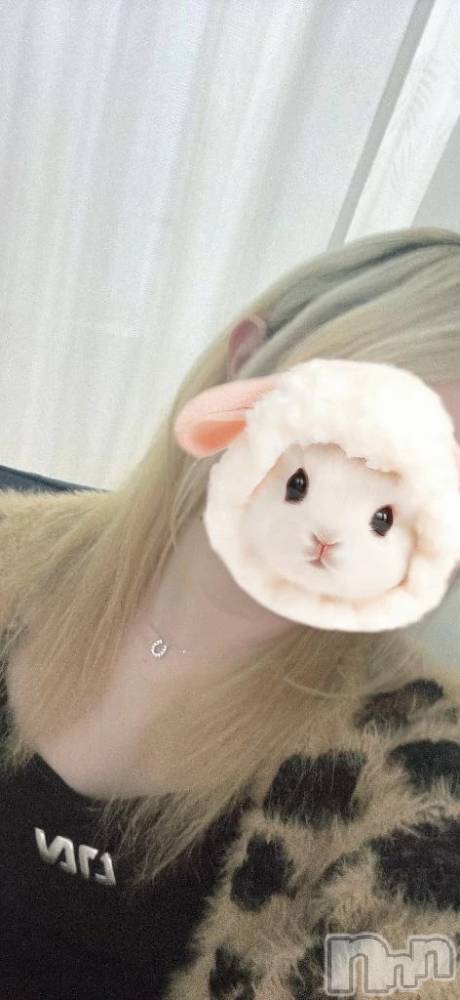 新潟デリヘル新潟デリヘル倶楽部(ニイガタデリヘルクラブ) せいら(20)の10月7日写メブログ「寝れない夜は××すると…」