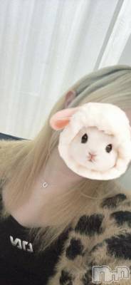 新潟デリヘル 新潟デリヘル倶楽部(ニイガタデリヘルクラブ) せいら(20)の10月7日写メブログ「寝れない夜は××すると…」