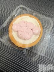 新潟デリヘル新潟デリヘル倶楽部(ニイガタデリヘルクラブ) そら(26)の2月13日写メブログ「猫に誘惑されまくる夜…そらの寄り道日記✨🐾」