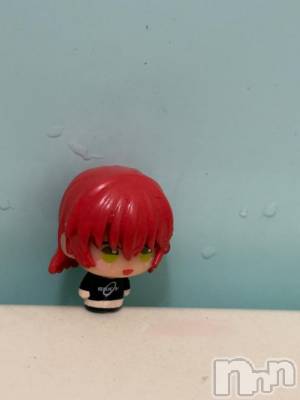 新潟デリヘル 新潟デリヘル倶楽部(ニイガタデリヘルクラブ) そら(26)の12月23日写メブログ「ぼっちちゃん欲しかった♨️」