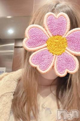 新潟デリヘル 新潟デリヘル倶楽部(ニイガタデリヘルクラブ) そら(26)の4月12日写メブログ「お花見より、そら見に来ませんか？って言ってみる勇気🐕🌸」