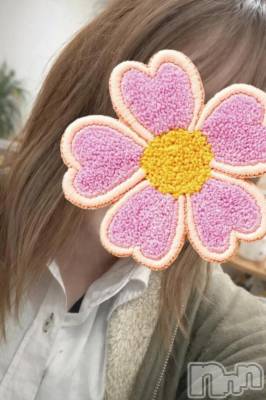 新潟デリヘル 新潟デリヘル倶楽部(ニイガタデリヘルクラブ) そら(26)の4月15日写メブログ「昼は春、夜は冬…つまり今は“くっつき適温”らしいです🐕☔️」