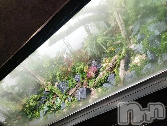 新潟デリヘル新潟デリヘル倶楽部(ニイガタデリヘルクラブ) まき(19)の12月15日写メブログ「素敵✨」