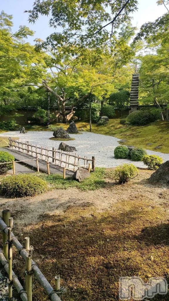 新潟デリヘル新潟デリヘル倶楽部(ニイガタデリヘルクラブ)まき(19)の2025年8月30日写メブログ「散策🎶」