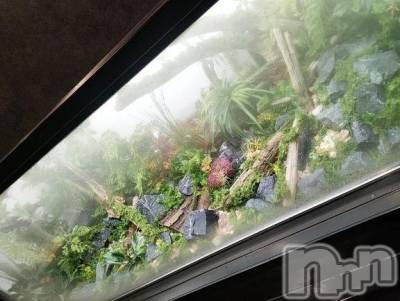 新潟デリヘル 新潟デリヘル倶楽部(ニイガタデリヘルクラブ) まき(19)の12月15日写メブログ「素敵✨」