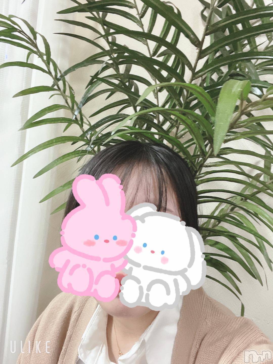 新潟デリヘル新潟デリヘル倶楽部(ニイガタデリヘルクラブ)あい(19)の2024年11月23日写メブログ「おはよ☀️」