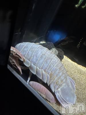 新潟デリヘル 新潟デリヘル倶楽部(ニイガタデリヘルクラブ) あい(19)の11月17日写メブログ「すきな場所🥰」