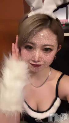 bunny event🐰