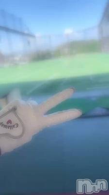 (  > ·̫ <)‼️