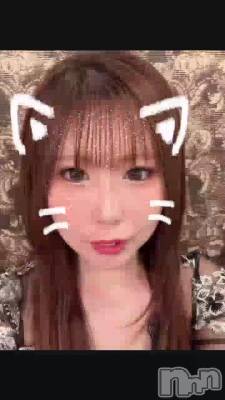 �ɤ衼�ӡ���