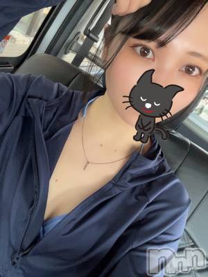 Įʥå륺СEGOIST() 礦86̥֥Day.18