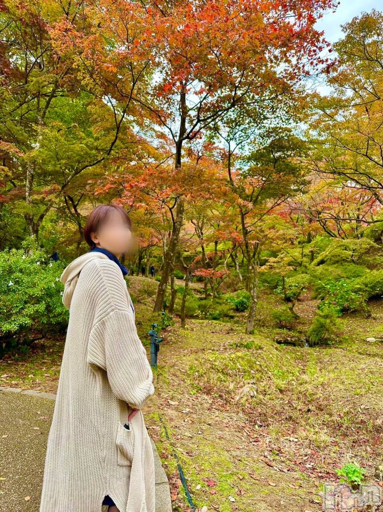 新潟風俗エステSOARIS-ソアリス-(ソアリス) かおり(35)の6月4日写メブログ「安楽死について考える」