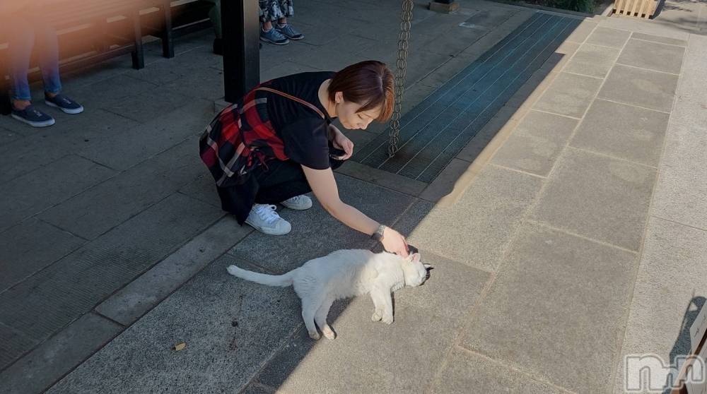 新潟風俗エステSOARIS-ソアリス-(ソアリス) かおり(35)の10月15日写メブログ「お猫様とかおりさん」