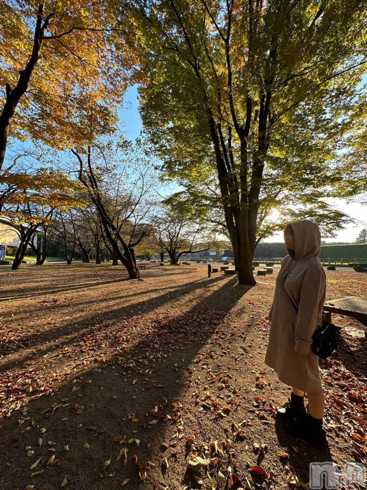 新潟デリヘルSOARIS-ソアリス-(ソアリス) かおり(35)の12月2日写メブログ「旅からの帰還」