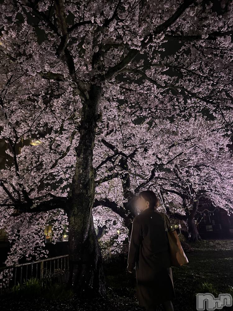 新潟デリヘルSOARIS-ソアリス-(ソアリス) かおり(35)の4月10日写メブログ「スッポン🐢💚フルコース🫰」