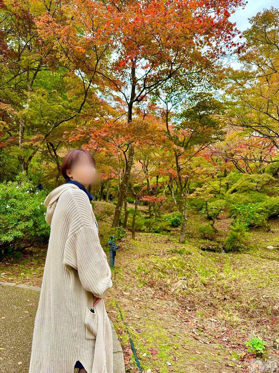 新潟風俗エステSOARIS-ソアリス-(ソアリス)かおり(35)の2024年6月4日写メブログ「安楽死について考える」