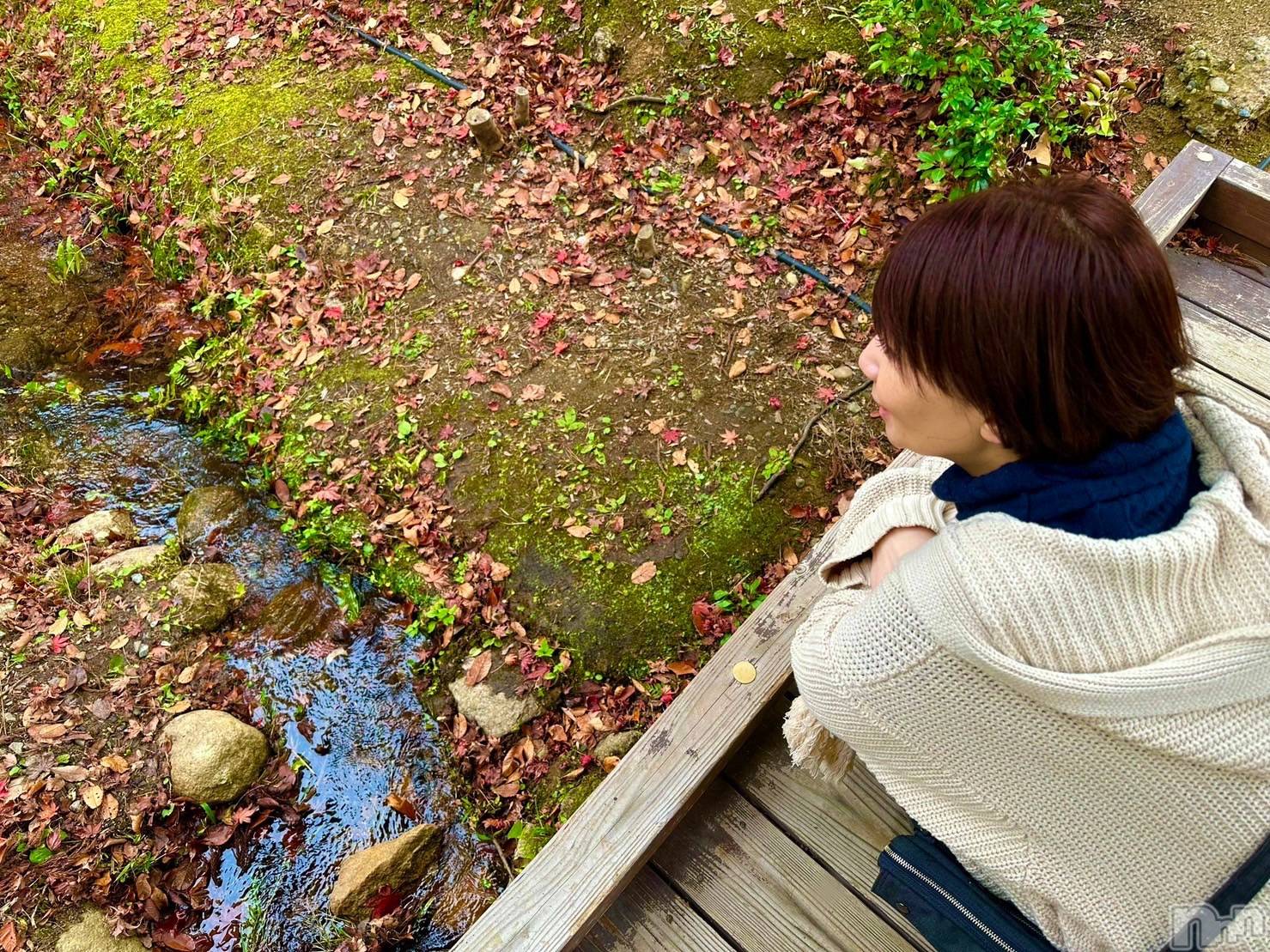 新潟デリヘルSOARIS-ソアリス-(ソアリス)かおり(35)の2025年11月3日写メブログ「嘆きの風俗嬢は引退したい」