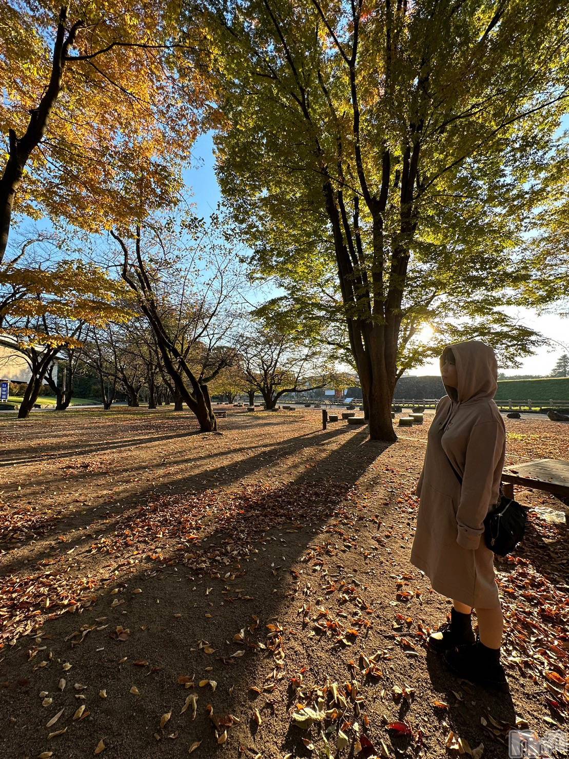 新潟デリヘルSOARIS-ソアリス-(ソアリス)かおり(35)の2025年12月2日写メブログ「旅からの帰還」