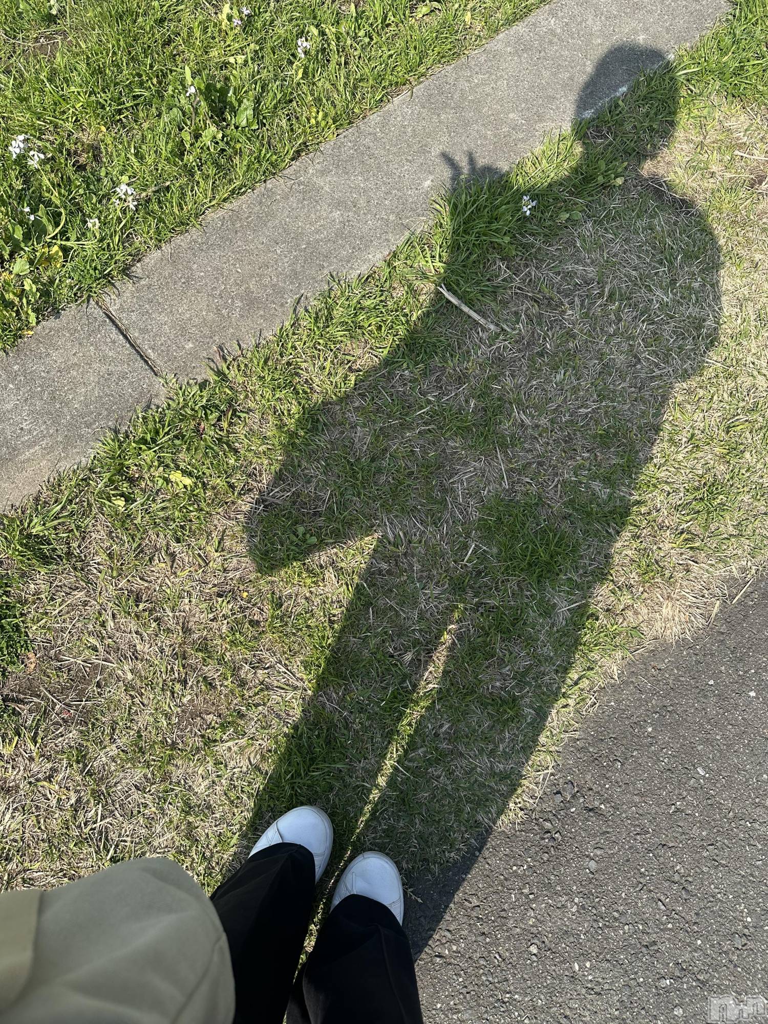 新潟デリヘルSOARIS-ソアリス-(ソアリス)かおり(35)の2026年3月29日写メブログ「新潟から逃亡中」