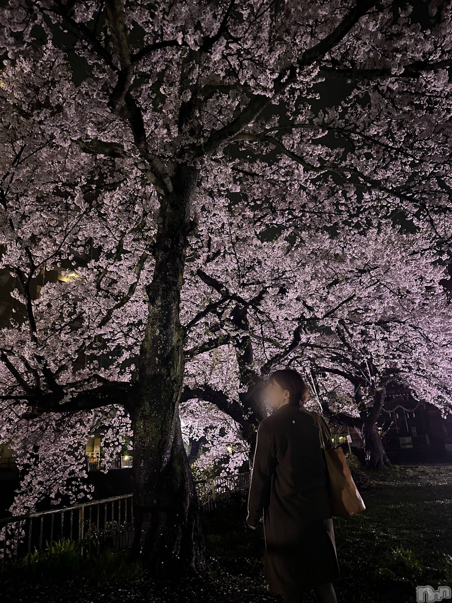 新潟デリヘルSOARIS-ソアリス-(ソアリス)かおり(35)の2026年4月10日写メブログ「スッポン🐢💚フルコース🫰」