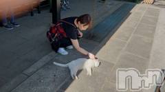 新潟デリヘルSOARIS-ソアリス-(ソアリス) かおり(35)の10月15日写メブログ「お猫様とかおりさん」