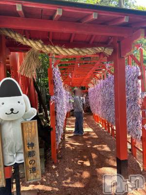 新潟風俗エステ SOARIS-ソアリス-(ソアリス) かおり(35)の5月28日写メブログ「神社巡り⛩️」