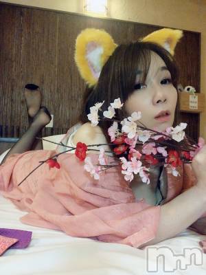 新潟デリヘル SOARIS-ソアリス-(ソアリス) かおり(35)の12月12日写メブログ「キャンセル出ました」