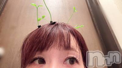 新潟デリヘル SOARIS-ソアリス-(ソアリス) かおり(35)の7月14日写メブログ「本日受付終了しました🍀」