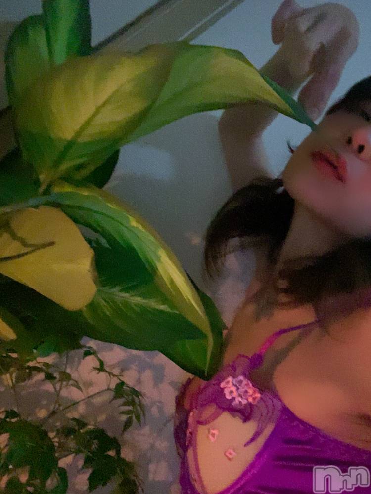 新潟風俗エステSOARIS-ソアリス-(ソアリス) たまき(35)の7月1日写メブログ「ミドラーなあたくし。」